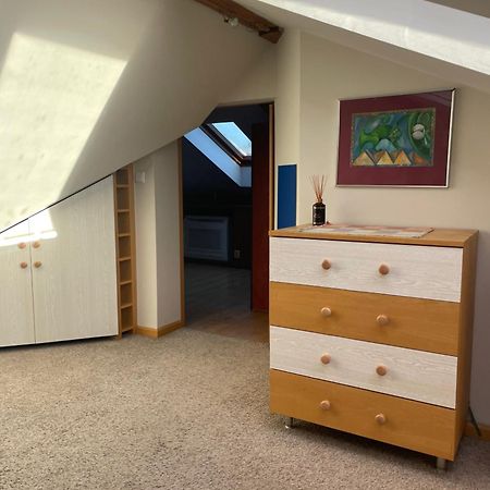 Olsza Residence Cozy & Quiet 2 Level Apartment 크라쿠프 외부 사진